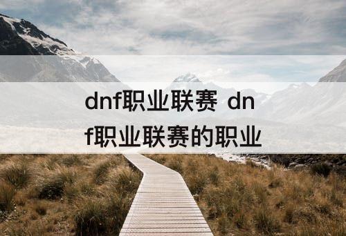 dnf职业联赛 dnf职业联赛的职业