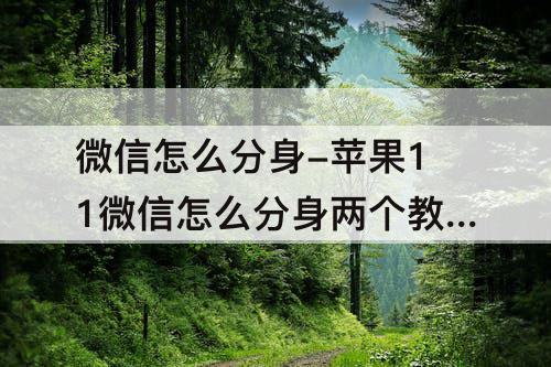 微信怎么分身-苹果11微信怎么分身两个教程