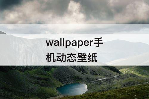 wallpaper手机动态壁纸