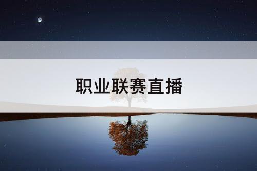 职业联赛直播