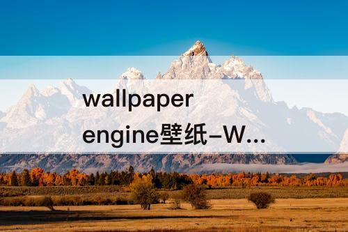wallpaper engine壁纸-Wallpaper Engine壁纸引擎.apk