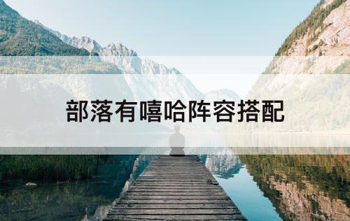 部落有嘻哈阵容搭配