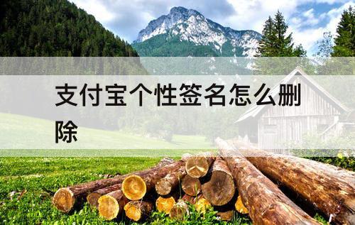 支付宝个性签名怎么删除