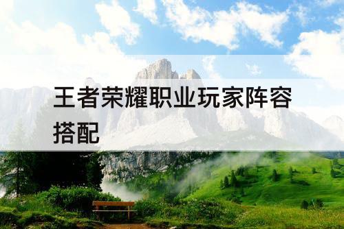 王者荣耀职业玩家阵容搭配