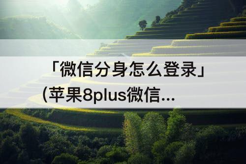 「微信分身怎么登录」(苹果8plus微信分身怎么登录)