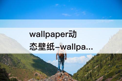 wallpaper动态壁纸-wallpaper动态壁纸怎么设置静态