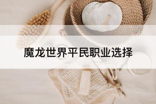 魔龙世界平民职业选择