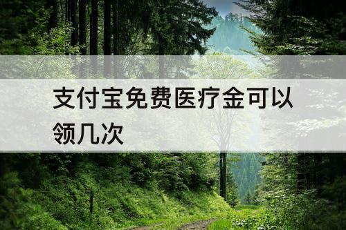 支付宝免费医疗金可以领几次