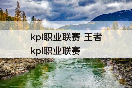 kpl职业联赛 王者kpl职业联赛