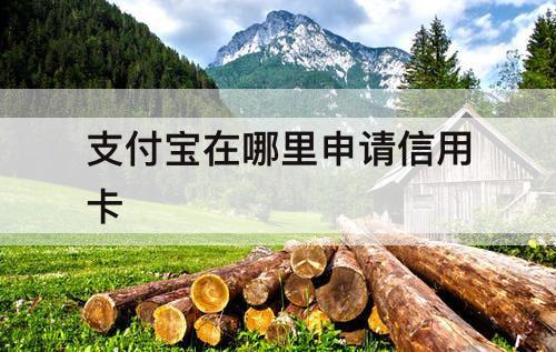支付宝在哪里申请信用卡