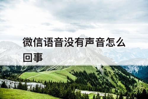 微信语音没有声音怎么回事