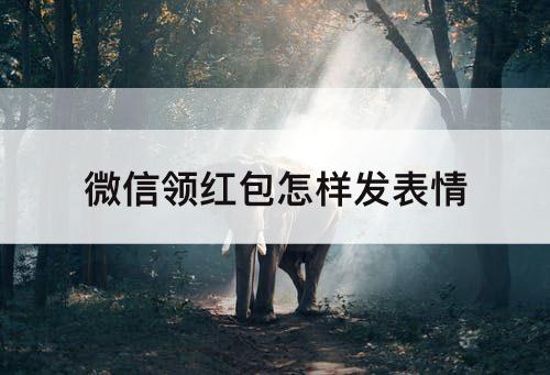 微信领红包怎样发表情
