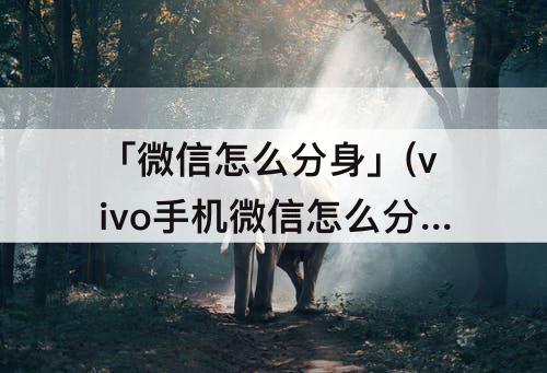 「微信怎么分身」(vivo手机微信怎么分身两个微信)