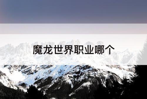 魔龙世界职业哪个