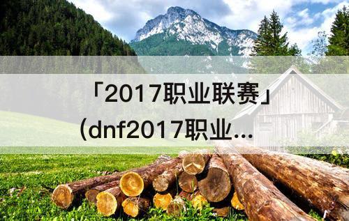 「2017职业联赛」(dnf2017职业联赛)