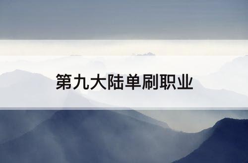 第九大陆单刷职业
