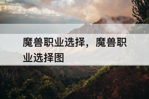 魔兽职业选择，魔兽职业选择图