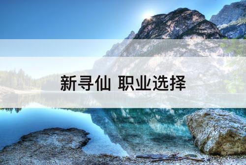 新寻仙 职业选择