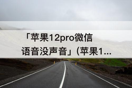 「苹果12pro微信语音没声音」(苹果12pro微信语音没声音怎么回事)