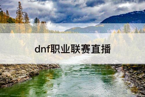 dnf职业联赛直播