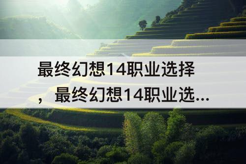 最终幻想14职业选择，最终幻想14职业选择倾向表
