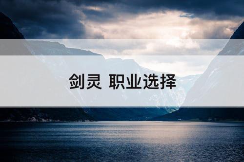 剑灵 职业选择