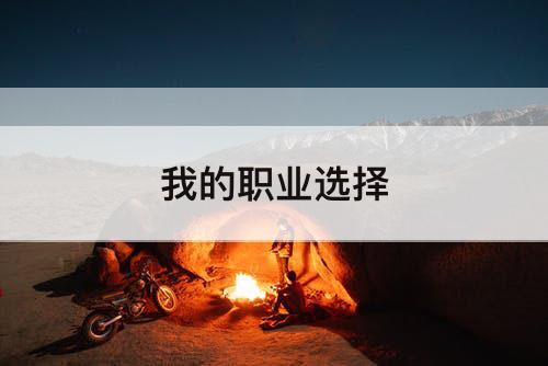 我的职业选择