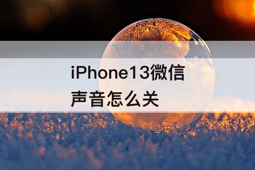iPhone13微信声音怎么关