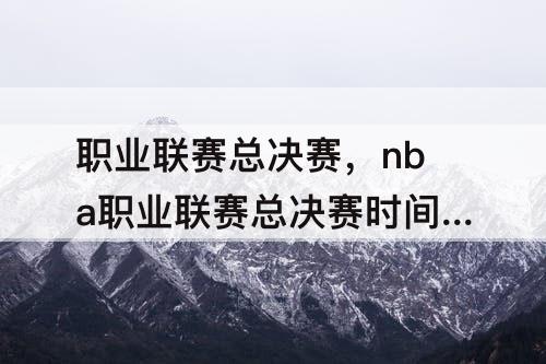 职业联赛总决赛，nba职业联赛总决赛时间比赛
