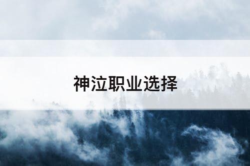 神泣职业选择