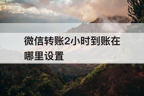 微信转账2小时到账在哪里设置