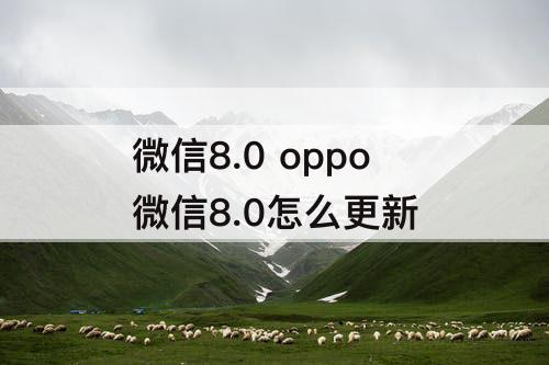 微信8.0 oppo微信8.0怎么更新