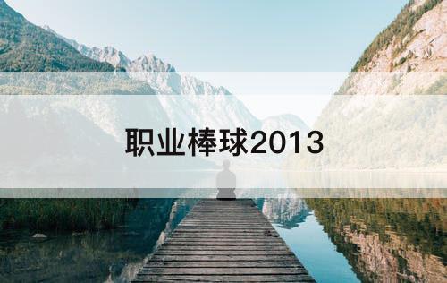 职业棒球2013