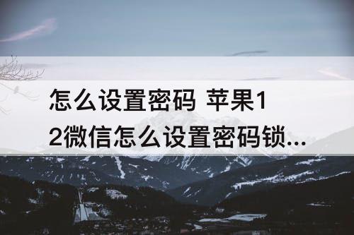 怎么设置密码 苹果12微信怎么设置密码锁微信聊天记录怎么去营业厅查