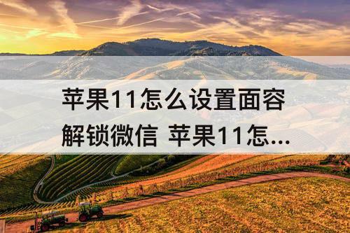 苹果11怎么设置面容解锁微信 苹果11怎么设置面容解锁微信?