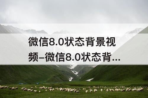 微信8.0状态背景视频-微信8.0状态背景视频治愈