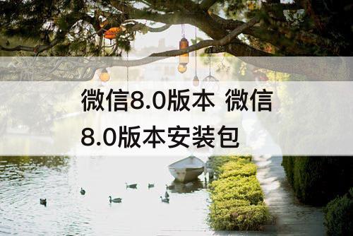 微信8.0版本 微信8.0版本安装包