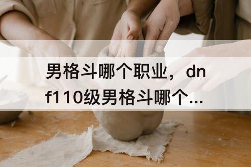 男格斗哪个职业，dnf110级男格斗哪个职业好