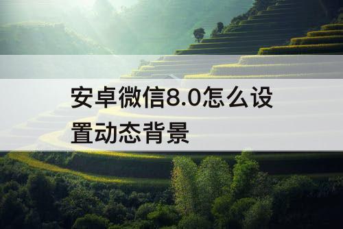 安卓微信8.0怎么设置动态背景