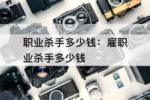 职业杀手多少钱：雇职业杀手多少钱