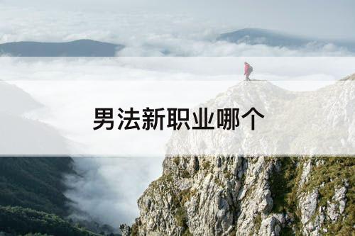 男法新职业哪个