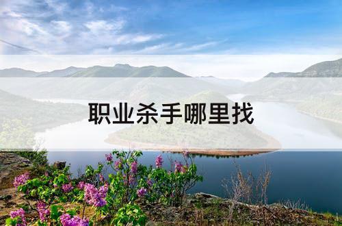 职业杀手哪里找