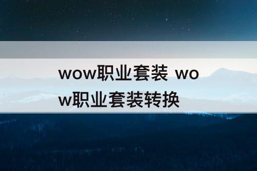 wow职业套装 wow职业套装转换