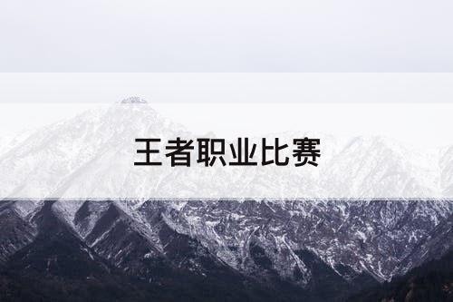 王者职业比赛