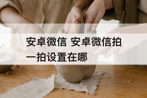 安卓微信 安卓微信拍一拍设置在哪