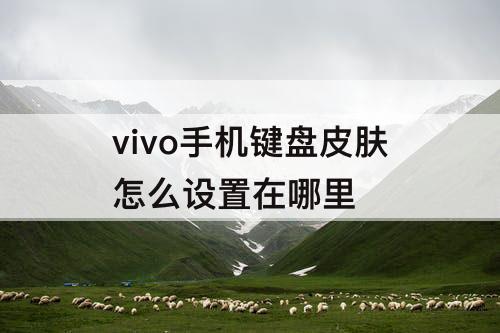 vivo手机键盘皮肤怎么设置在哪里
