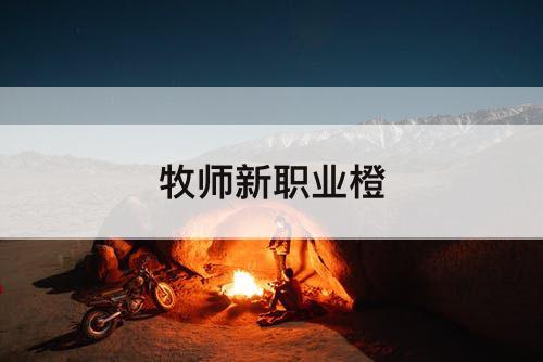 牧师新职业橙