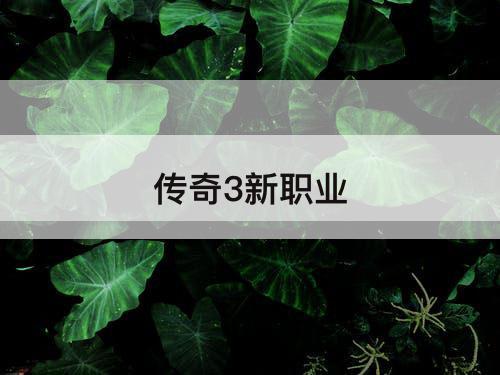 传奇3新职业
