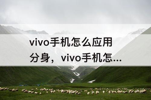vivo手机怎么应用分身，vivo手机怎么应用分身多个