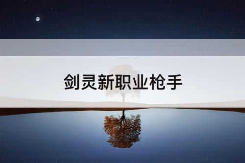 剑灵新职业枪手